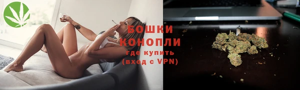 дурь Нефтекумск