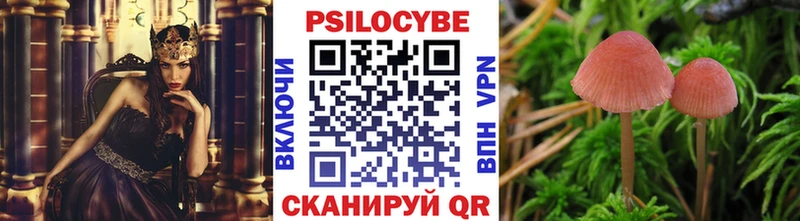 Псилоцибиновые грибы Psilocybine cubensis Зеленокумск