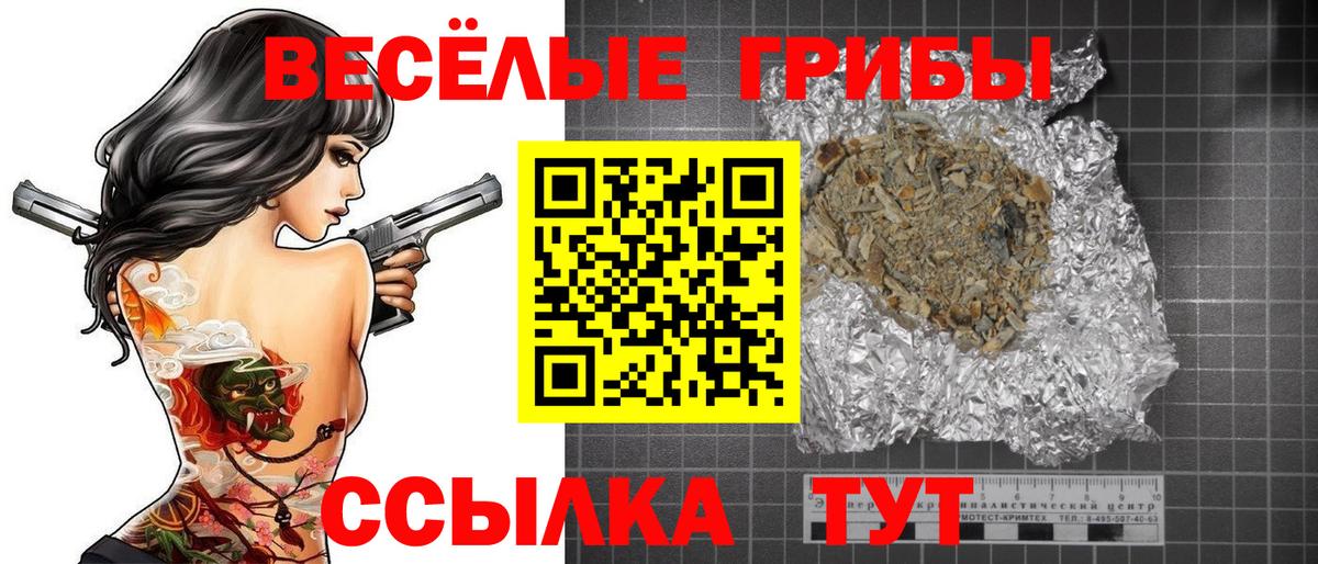 Галлюциногенные грибы мицелий  Вход с VPN  Зеленокумск  как найти закладки  Псилоцибиновые грибы GOLDEN TEACHER 