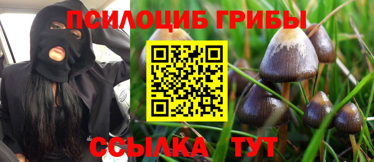 Галлюциногенные грибы GOLDEN TEACHER  Галлюциногенные грибы Magic Shrooms  Зеленокумск 